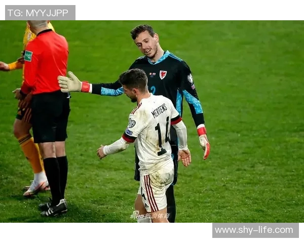 威尔士与比利时对决分析大小球走势及投注建议